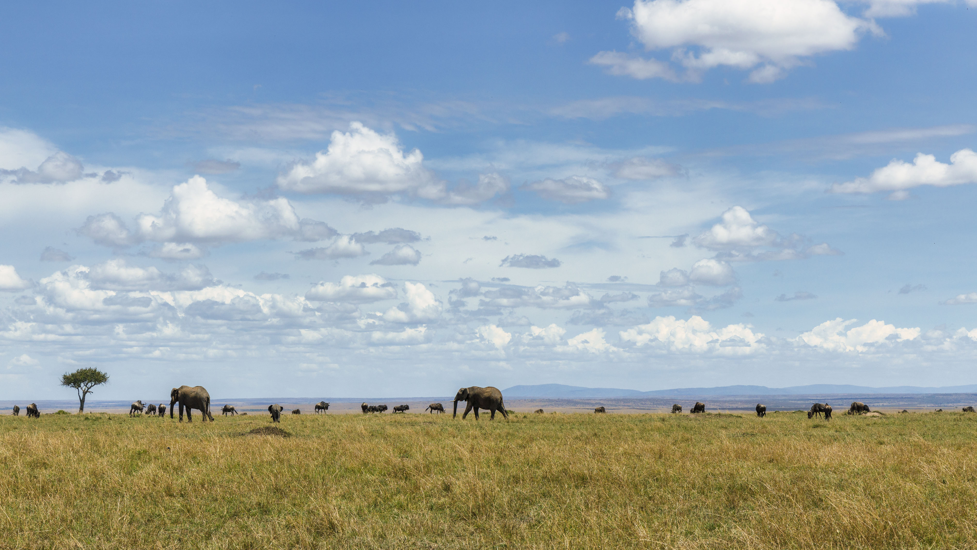 November 11, 2022-112733-2-Edit.jpg